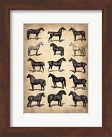 Vintage Horses Collection Fine Art Print