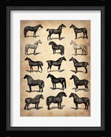 Vintage Horses Collection Fine Art Print