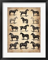 Vintage Horses Collection Fine Art Print