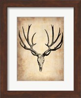 Vintage Deer Scull Fine Art Print