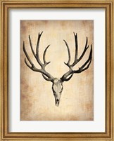 Vintage Deer Scull Fine Art Print