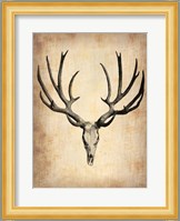 Vintage Deer Scull Fine Art Print