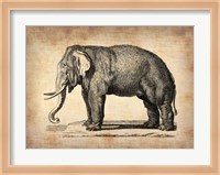 Vintage Elephant Fine Art Print