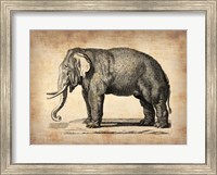 Vintage Elephant Fine Art Print