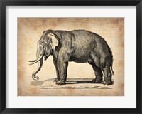 Vintage Elephant Fine Art Print