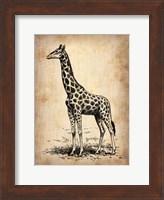 Vintage Giraffe Fine Art Print
