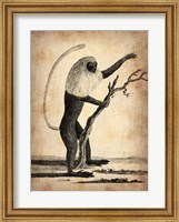 Vintage Monkey Fine Art Print