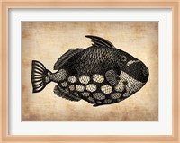 Vintage Fish Fine Art Print