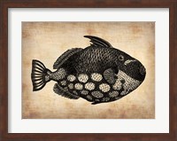 Vintage Fish Fine Art Print