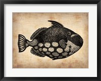 Vintage Fish Fine Art Print