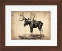 Vintage Moose Fine Art Print