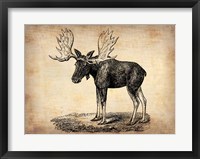 Vintage Moose Fine Art Print