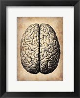 Vintage Brain Fine Art Print