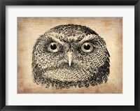 Vintage Owl Face Fine Art Print