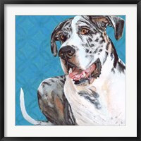 Dlynn's Dogs - Apollo Fine Art Print