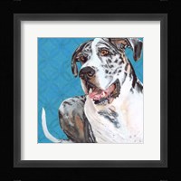 Dlynn's Dogs - Apollo Fine Art Print