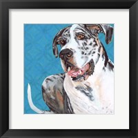 Dlynn's Dogs - Apollo Fine Art Print
