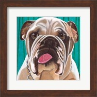 Dlynn's Dogs - Bosco Fine Art Print