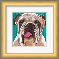 Dlynn's Dogs - Bosco Fine Art Print