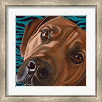 Dlynn's Dogs - Bunsen Fine Art Print