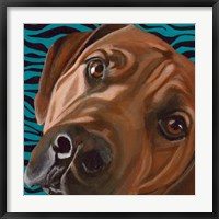 Dlynn's Dogs - Bunsen Fine Art Print