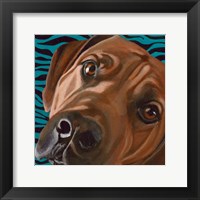 Dlynn's Dogs - Bunsen Fine Art Print