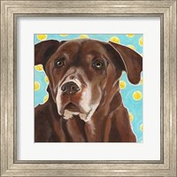Dlynn's Dogs - Get Your Ball Fine Art Print