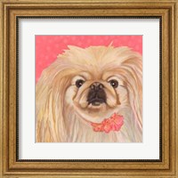 Dlynn's Dogs - Pinky Fine Art Print