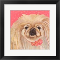 Dlynn's Dogs - Pinky Fine Art Print