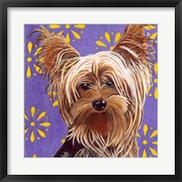 Dlynn's Dogs - Ringo Fine Art Print