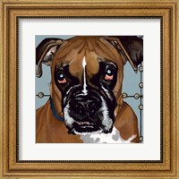 Dlynn's Dogs - Rocco Fine Art Print