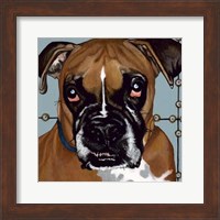 Dlynn's Dogs - Rocco Fine Art Print