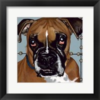 Dlynn's Dogs - Rocco Fine Art Print