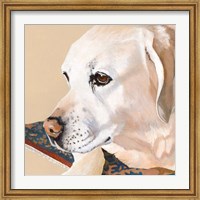 Dlynn's Dogs - Shell Fine Art Print