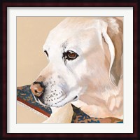 Dlynn's Dogs - Shell Fine Art Print