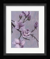 Branches of Magnolia II Framed Print