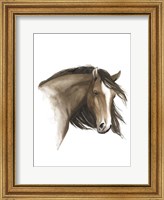 Wild Horse I Fine Art Print