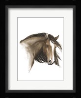 Wild Horse I Framed Print