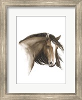 Wild Horse I Fine Art Print