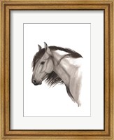Wild Horse II Fine Art Print