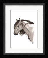 Wild Horse II Framed Print
