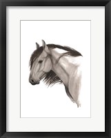 Wild Horse II Fine Art Print