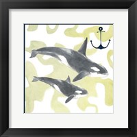 Whale Composition III Framed Print