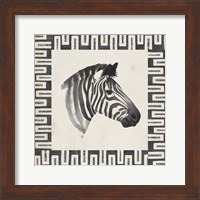 Safari Zebra I Fine Art Print
