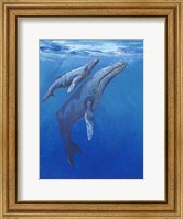 Under Sea Whales I Fine Art Print