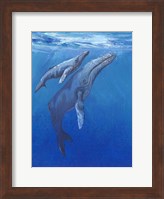 Under Sea Whales I Fine Art Print