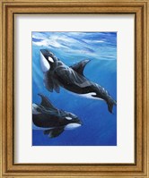 Under Sea Whales II Fine Art Print