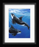 Under Sea Whales II Framed Print