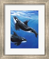 Under Sea Whales II Fine Art Print