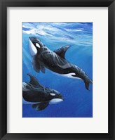 Under Sea Whales II Fine Art Print